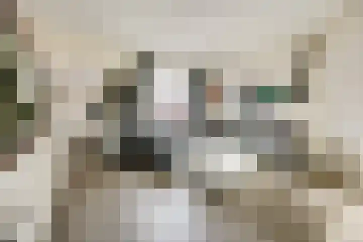 Oude Vriezenveenseweg 25 Almelo thumbnail 5