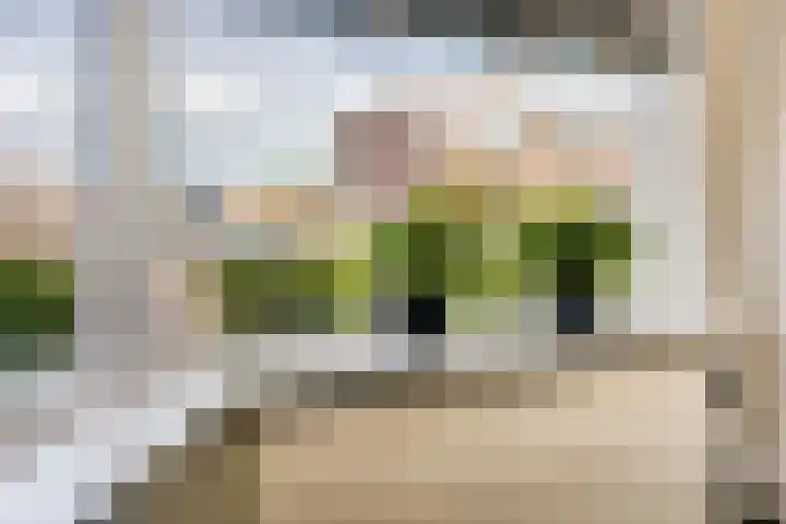 Oude Vriezenveenseweg 25 Almelo thumbnail 8