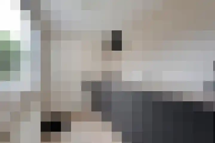 Oude Vriezenveenseweg 48 Almelo thumbnail 10