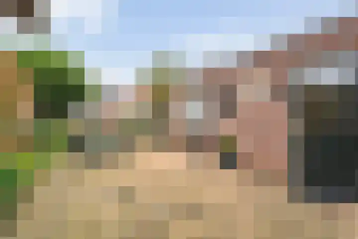 Oude Vriezenveenseweg 48 Almelo thumbnail 19
