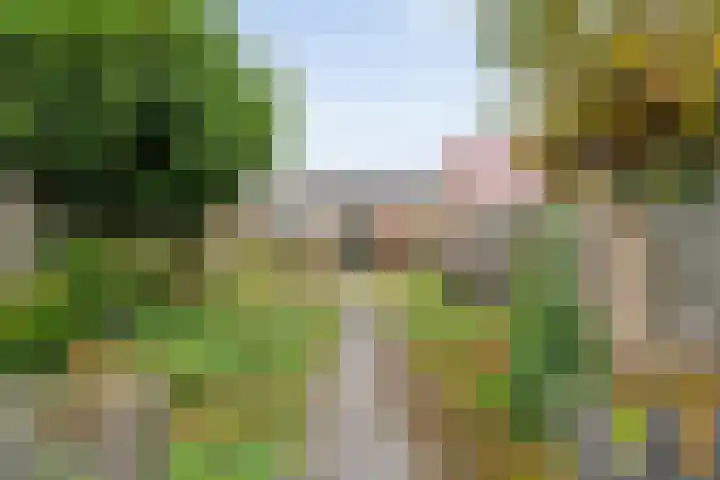 Oude Vriezenveenseweg 48 Almelo thumbnail 20