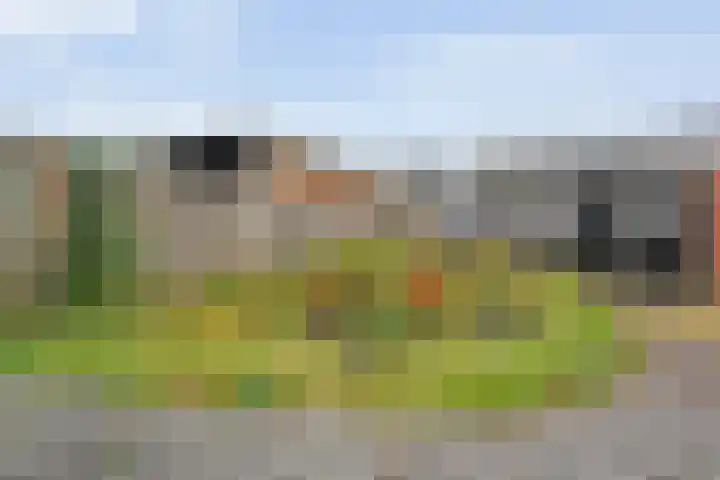 Oude Vriezenveenseweg 48 Almelo thumbnail 21