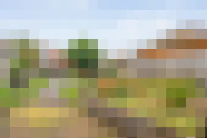 Oude Vriezenveenseweg 48 Almelo thumbnail 23