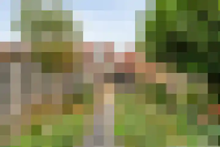 Oude Vriezenveenseweg 48 Almelo thumbnail 25