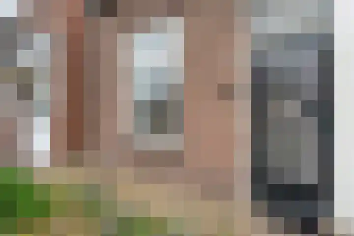 Oude Vriezenveenseweg 48 Almelo thumbnail 6