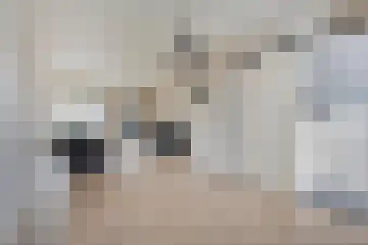 Oude Vriezenveenseweg 48 Almelo thumbnail 8