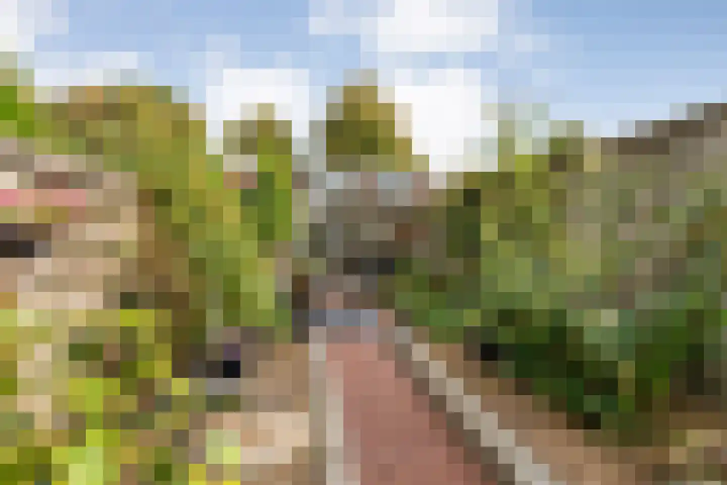 Oude Vriezenveenseweg 84 Almelo thumbnail 31