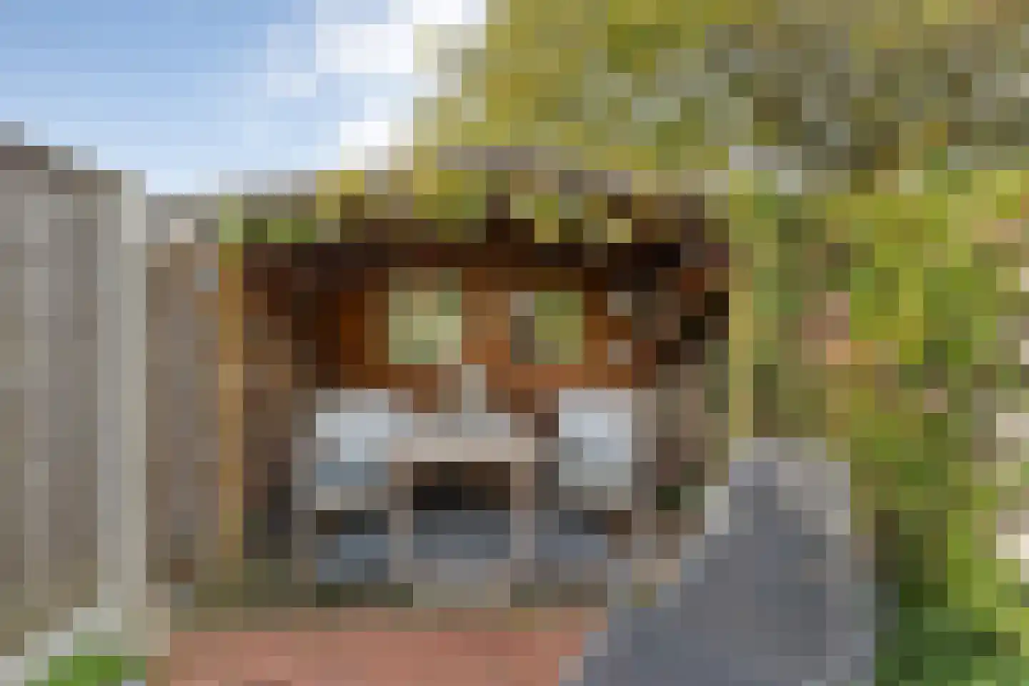 Oude Vriezenveenseweg 84 Almelo thumbnail 33