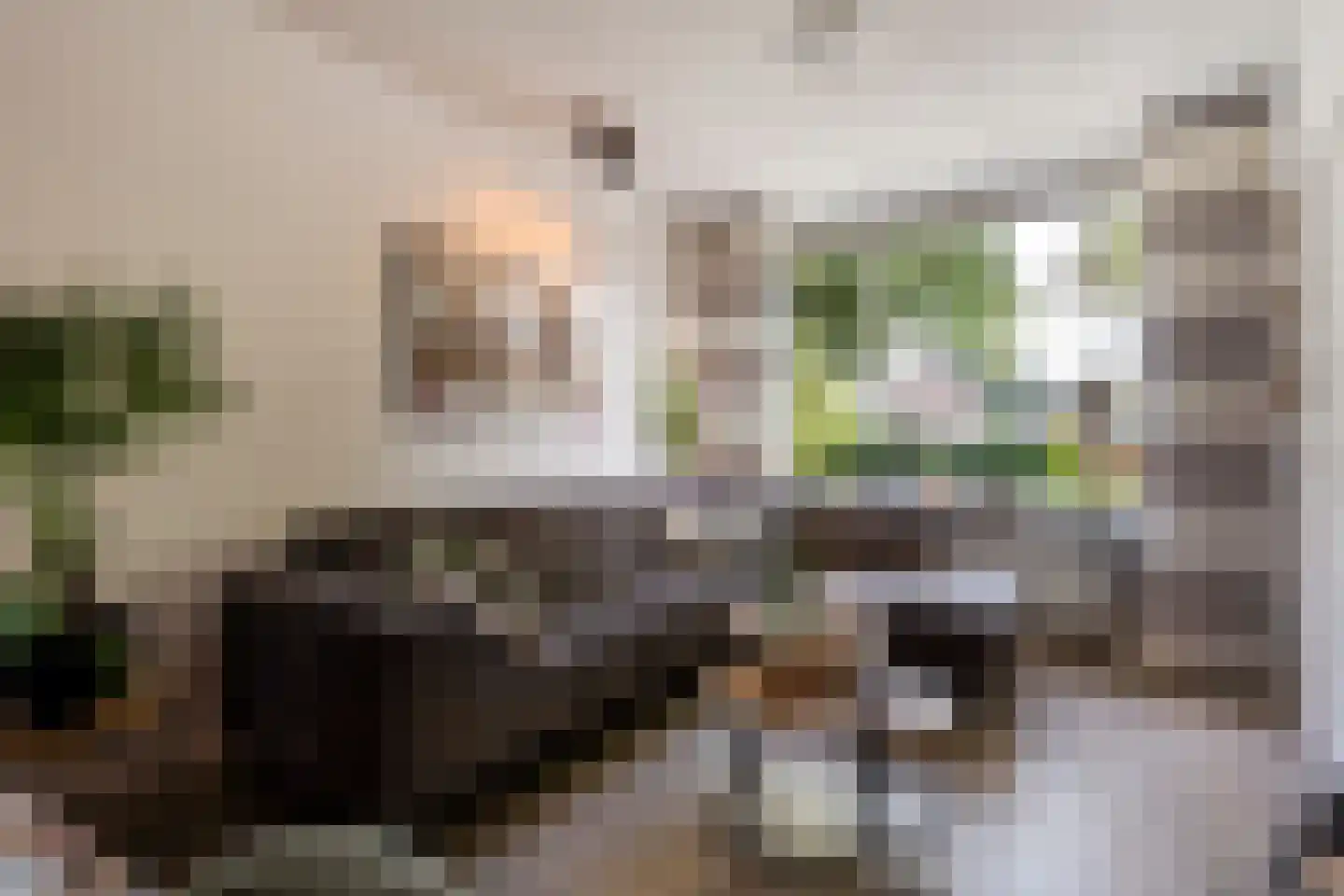 Oude Vriezenveenseweg 84 Almelo thumbnail 8