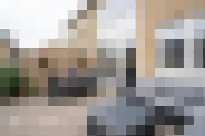 Oude Waag 14 Beesd thumbnail 26