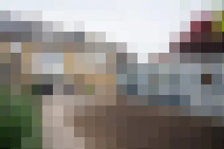 Oude Waag 14 Beesd thumbnail 4