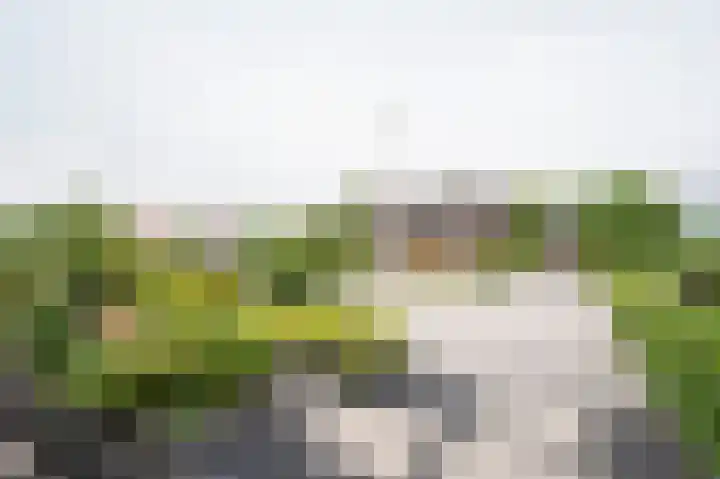 Oude Waag 14 Beesd thumbnail 6