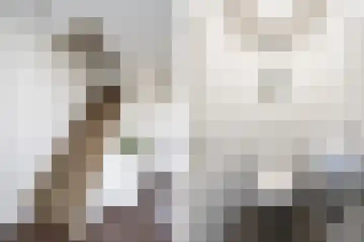 Oude Waag 14 Beesd thumbnail 7