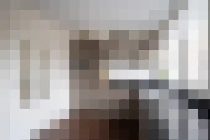 Oude Waag 14 Beesd thumbnail 8