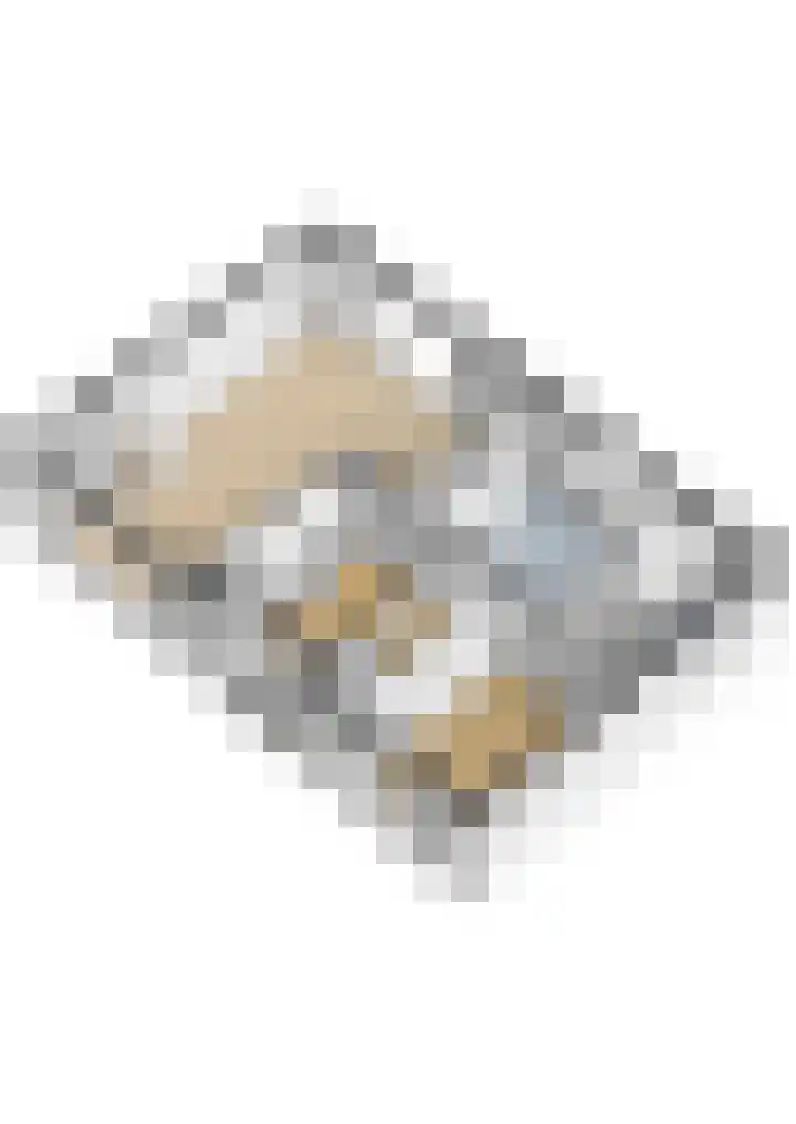 Oude Waag 5 Beesd thumbnail 48