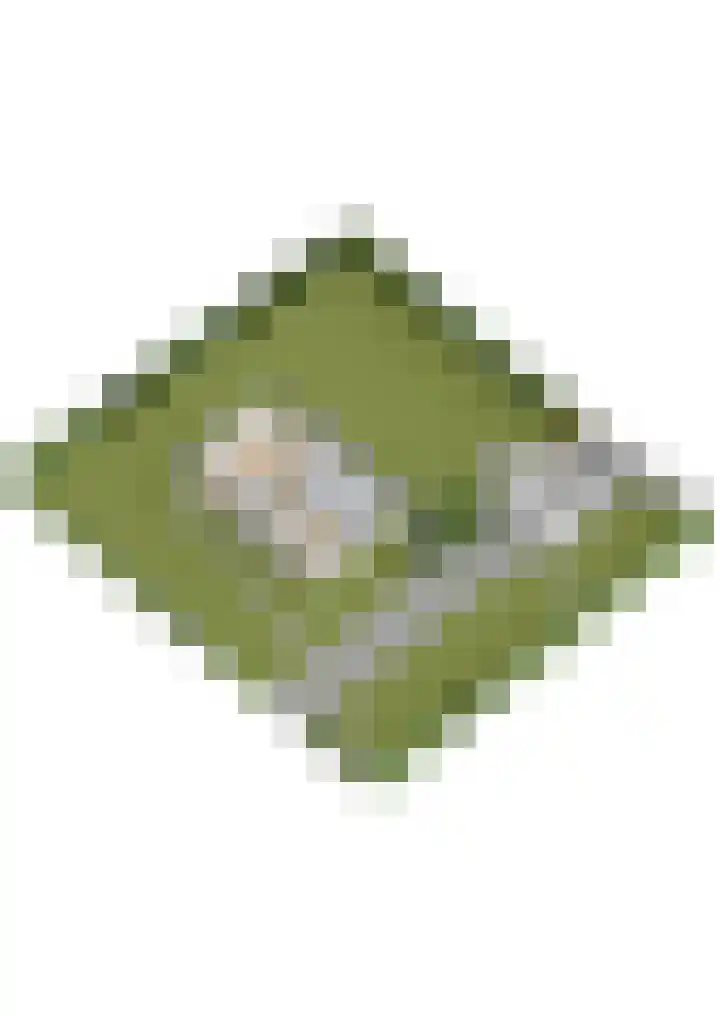 Oude Waag 5 Beesd thumbnail 58