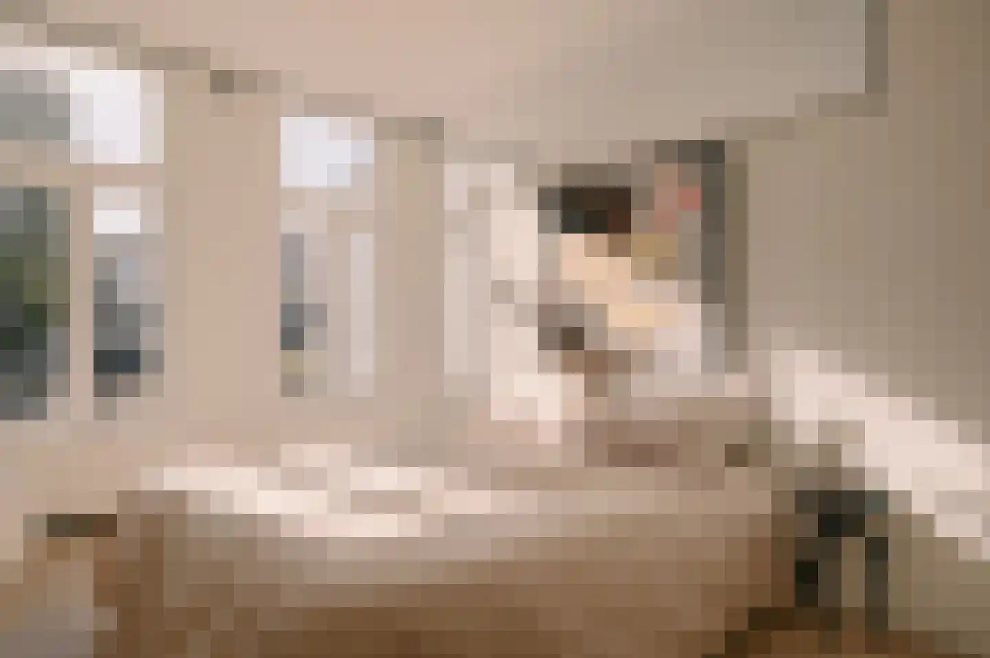 Oude Waal 29 2 Amsterdam thumbnail 20
