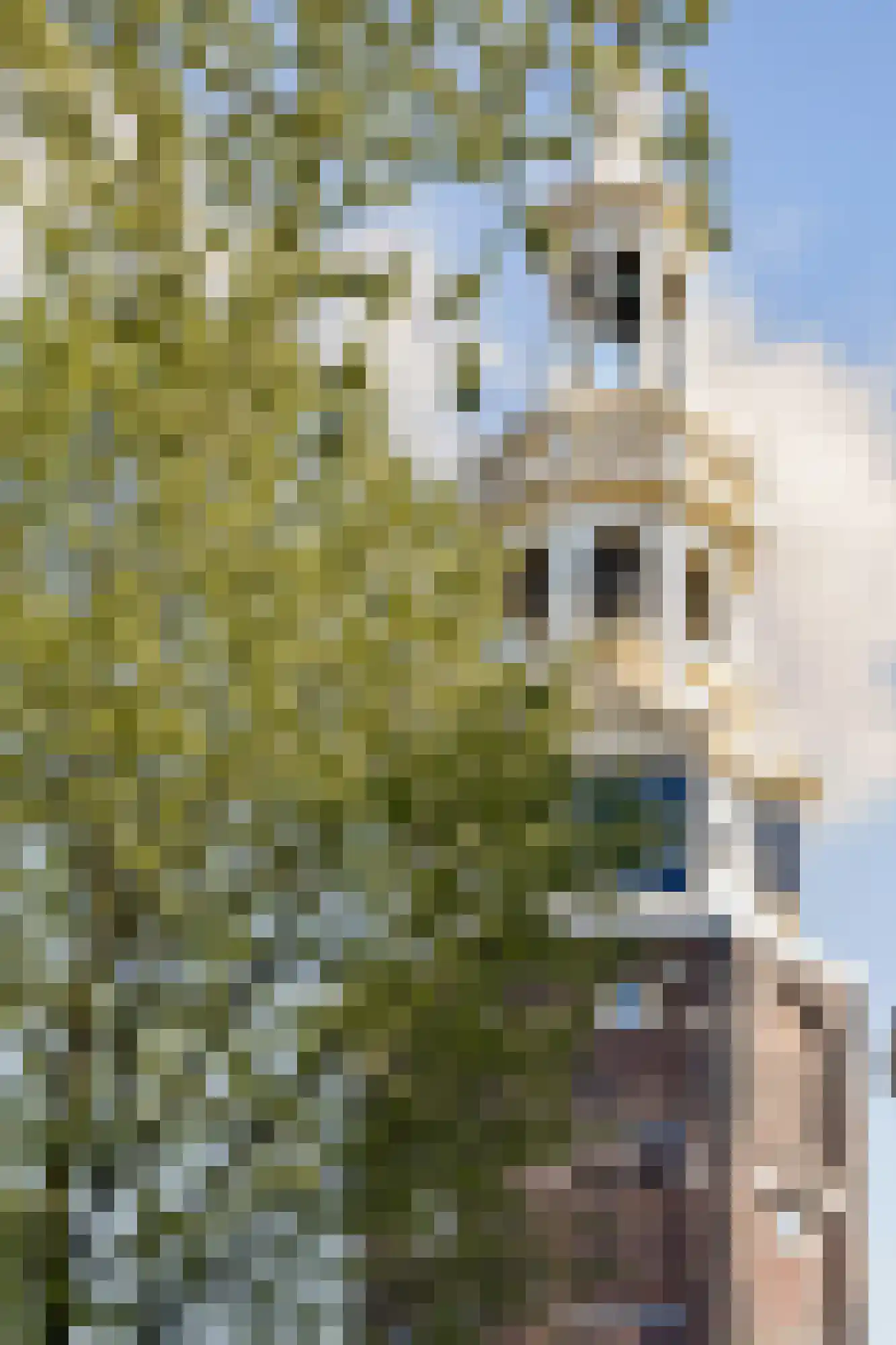 Oude Waal 37 A H Amsterdam thumbnail 17
