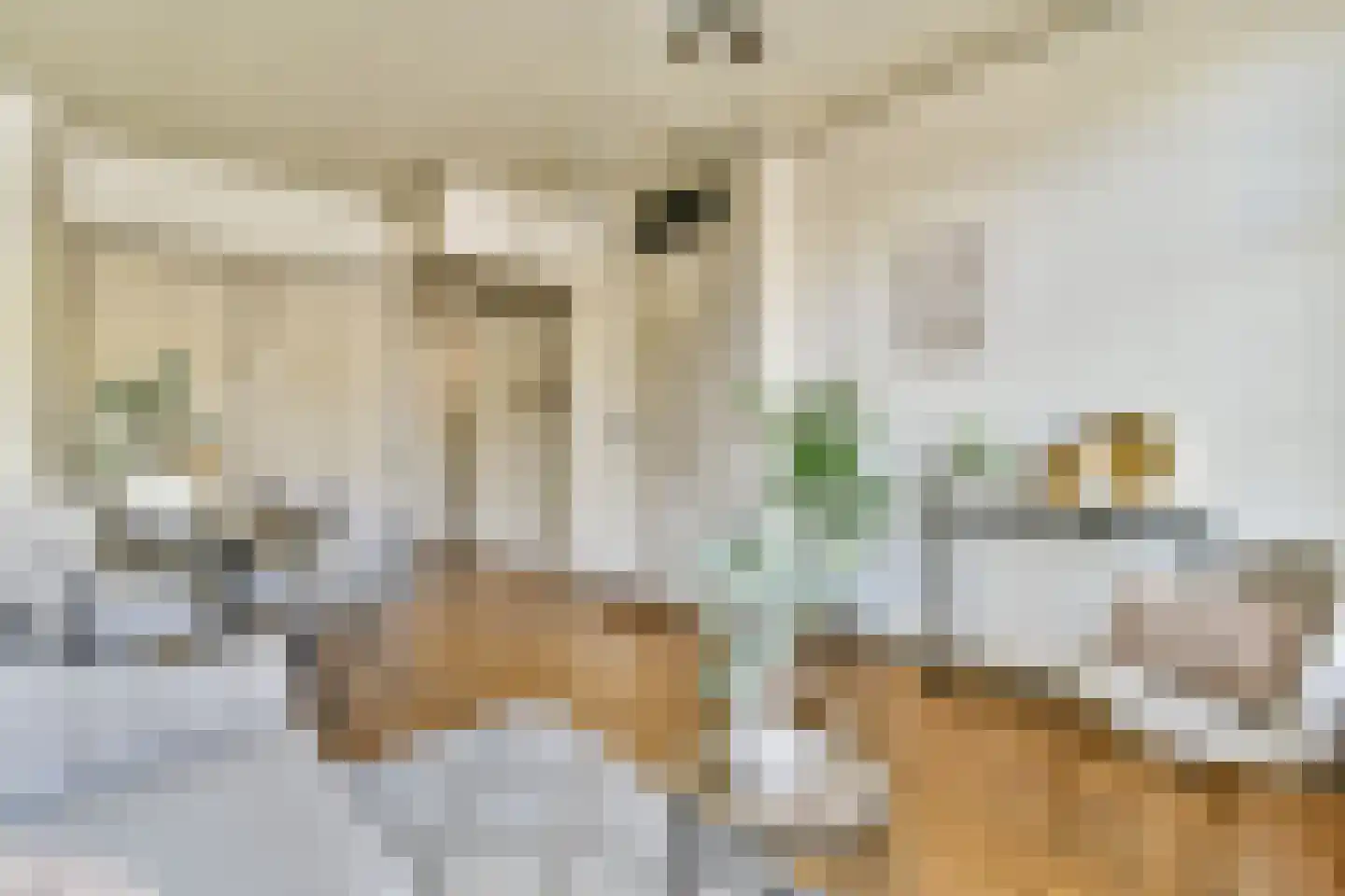 Oude Waal 37 A H Amsterdam thumbnail 5