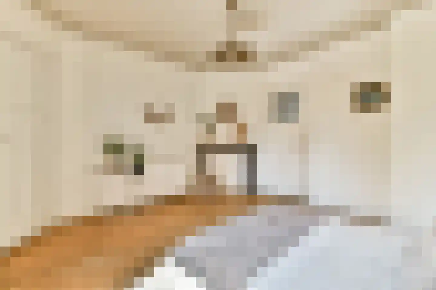 Oude Waal 37 A H Amsterdam thumbnail 8