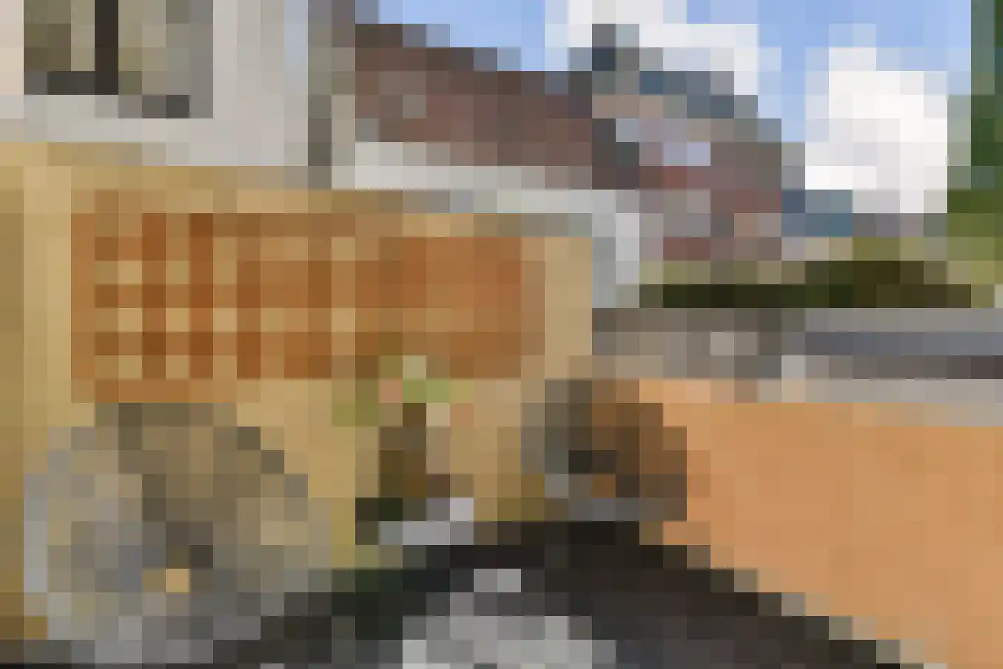 Oude Waal 37 A H Amsterdam thumbnail 9