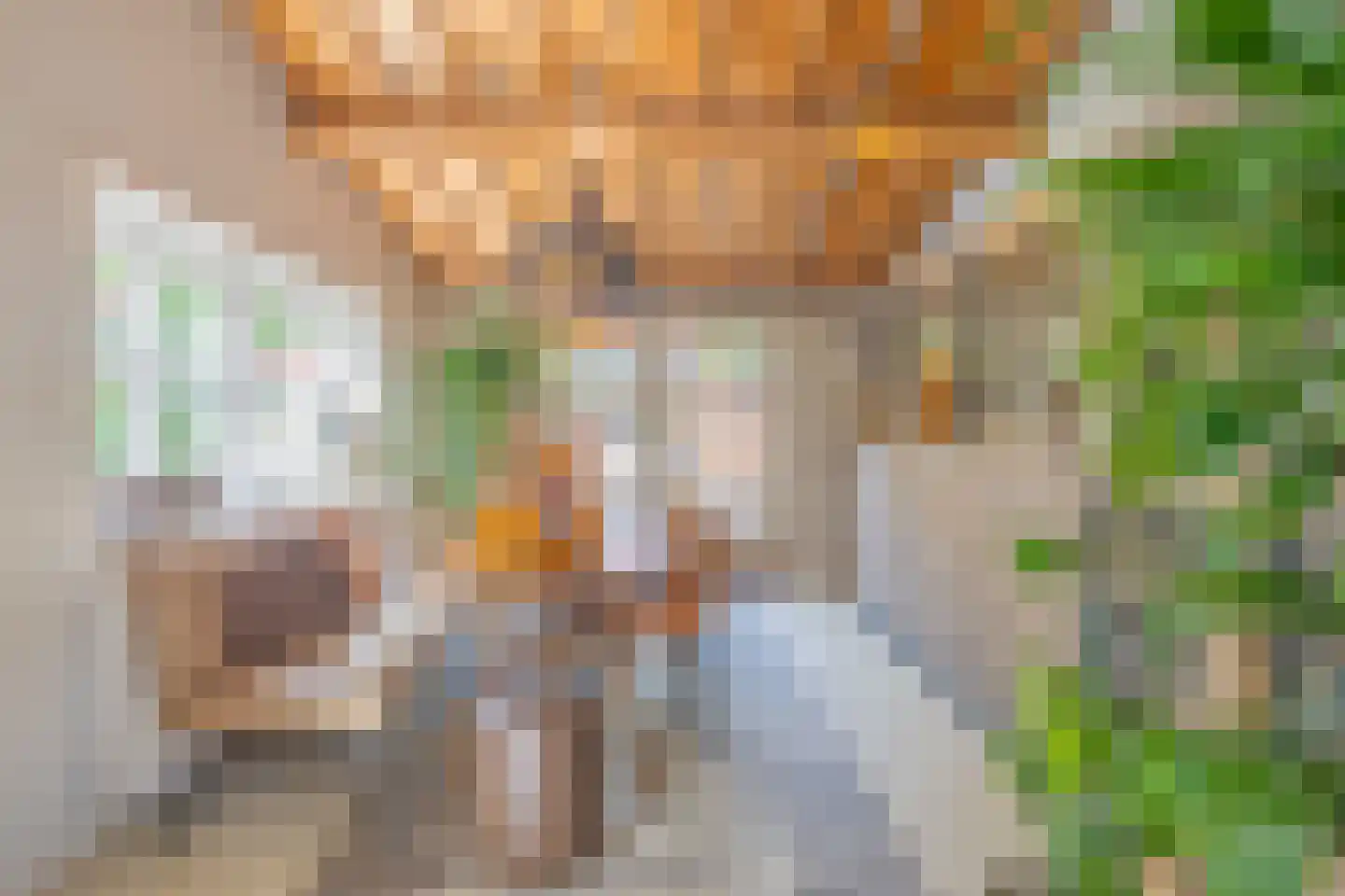 Oude Wacht 2 Veere thumbnail 10