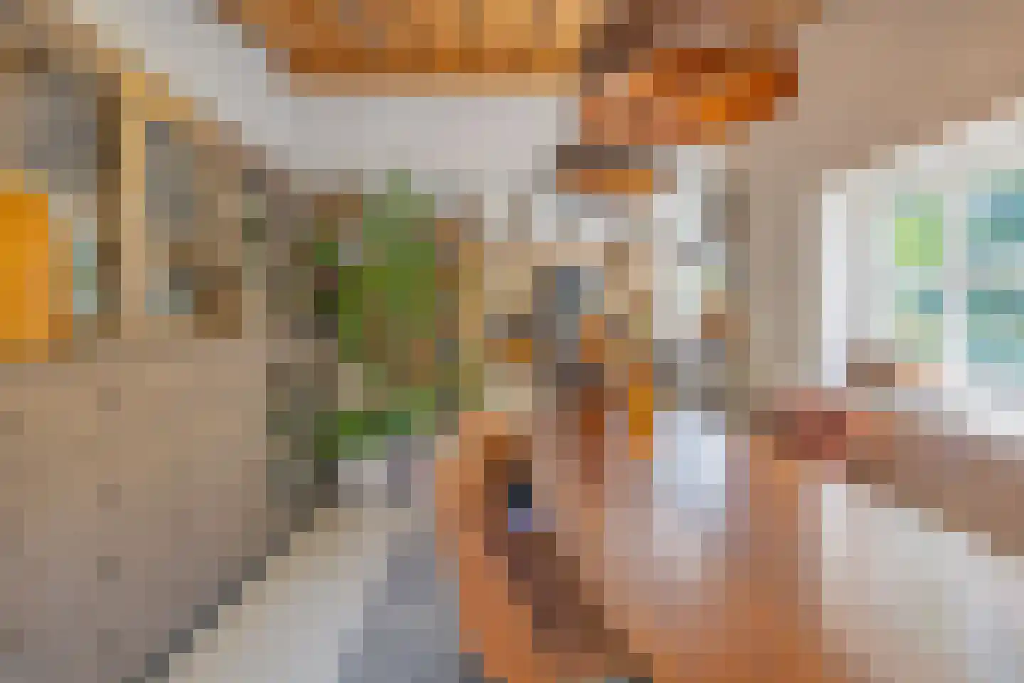 Oude Wacht 2 Veere thumbnail 11