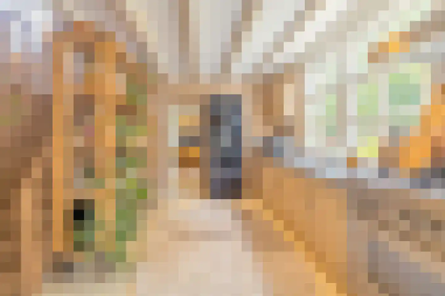 Oude Wacht 2 Veere thumbnail 12