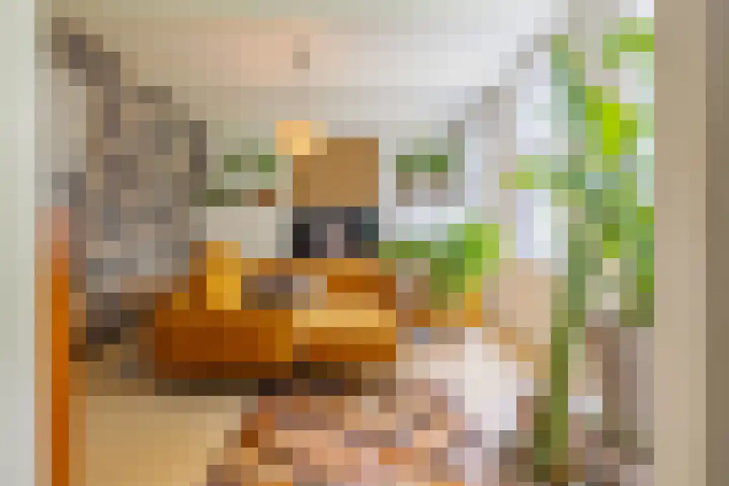 Oude Wacht 2 Veere thumbnail 17