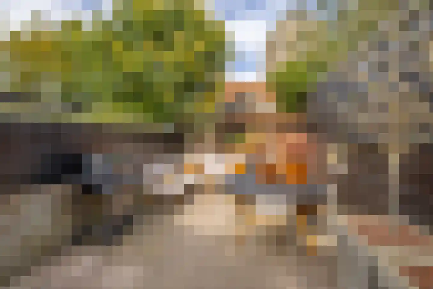 Oude Wacht 2 Veere thumbnail 24