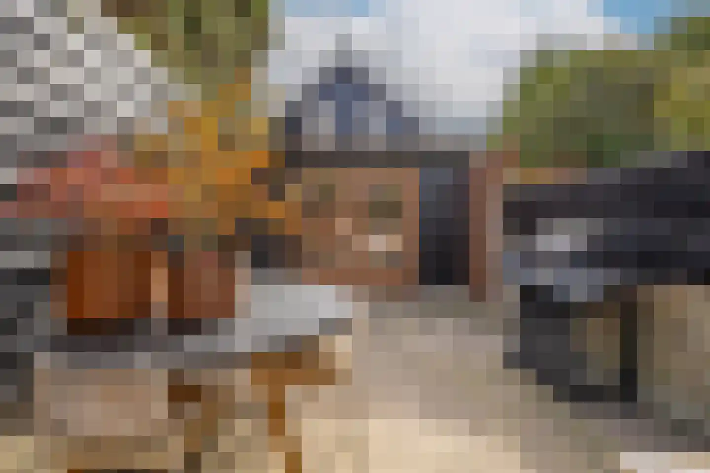 Oude Wacht 2 Veere thumbnail 25