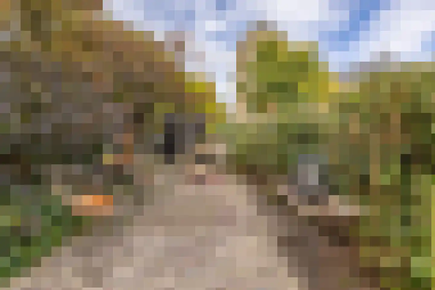 Oude Wacht 2 Veere thumbnail 27