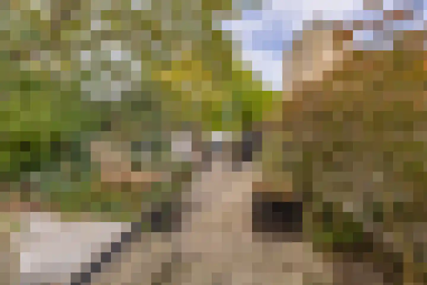 Oude Wacht 2 Veere thumbnail 28