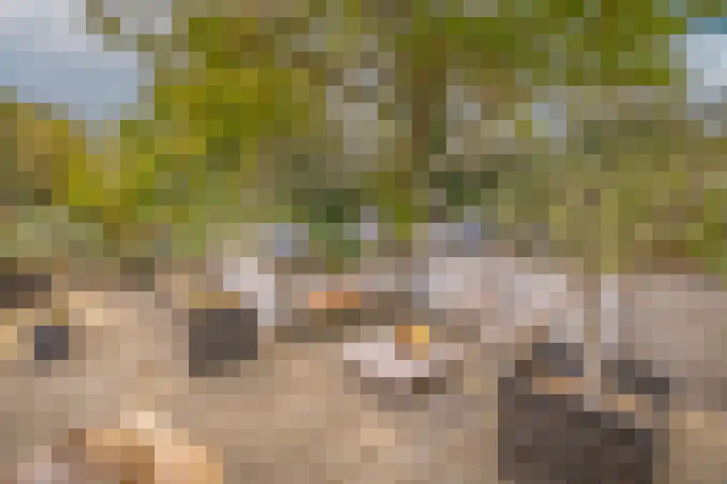 Oude Wacht 2 Veere thumbnail 29