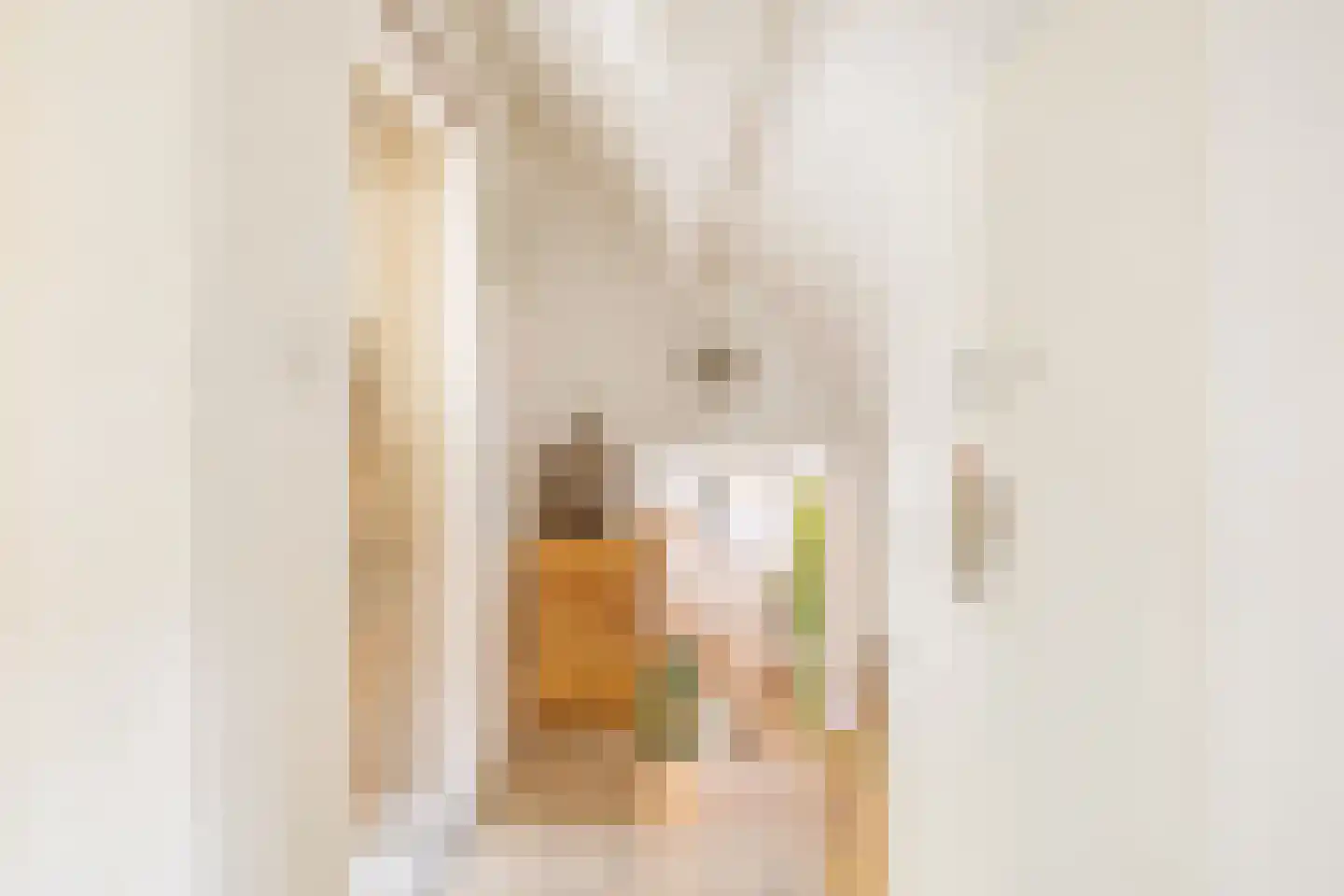 Oude Wacht 2 Veere foto 3