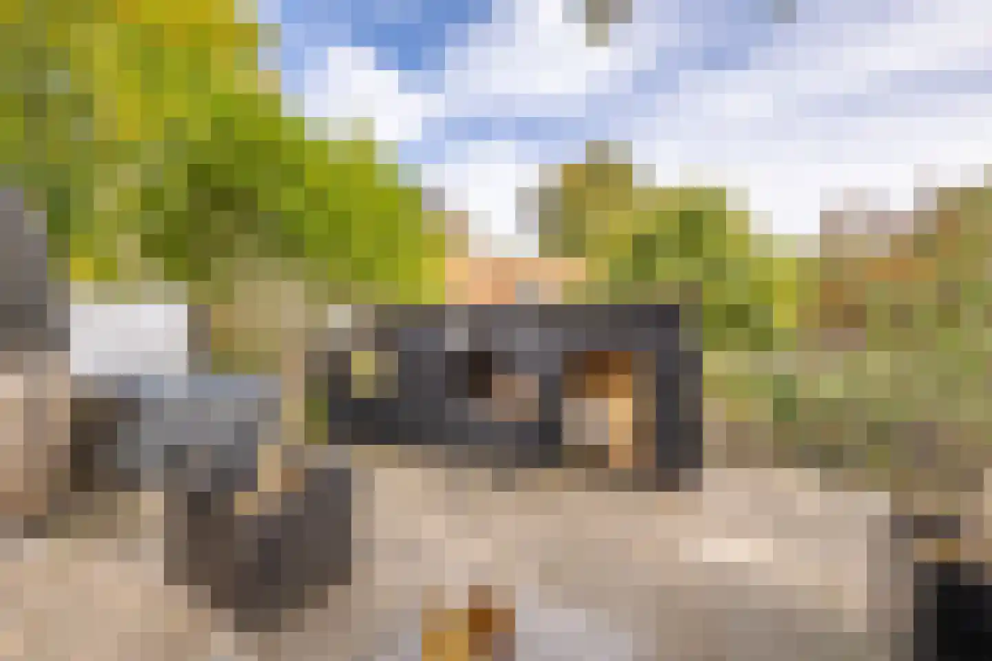 Oude Wacht 2 Veere thumbnail 31