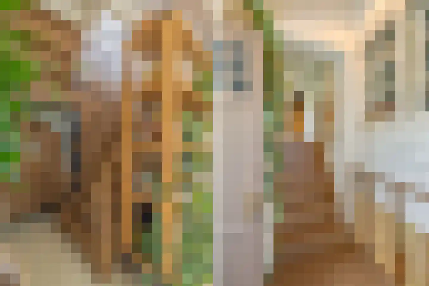 Oude Wacht 2 Veere thumbnail 33