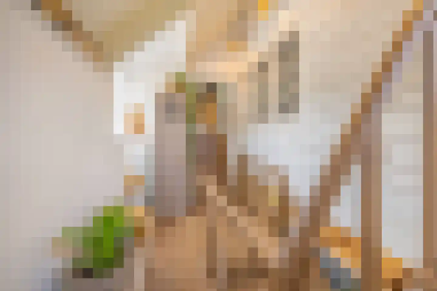 Oude Wacht 2 Veere thumbnail 34