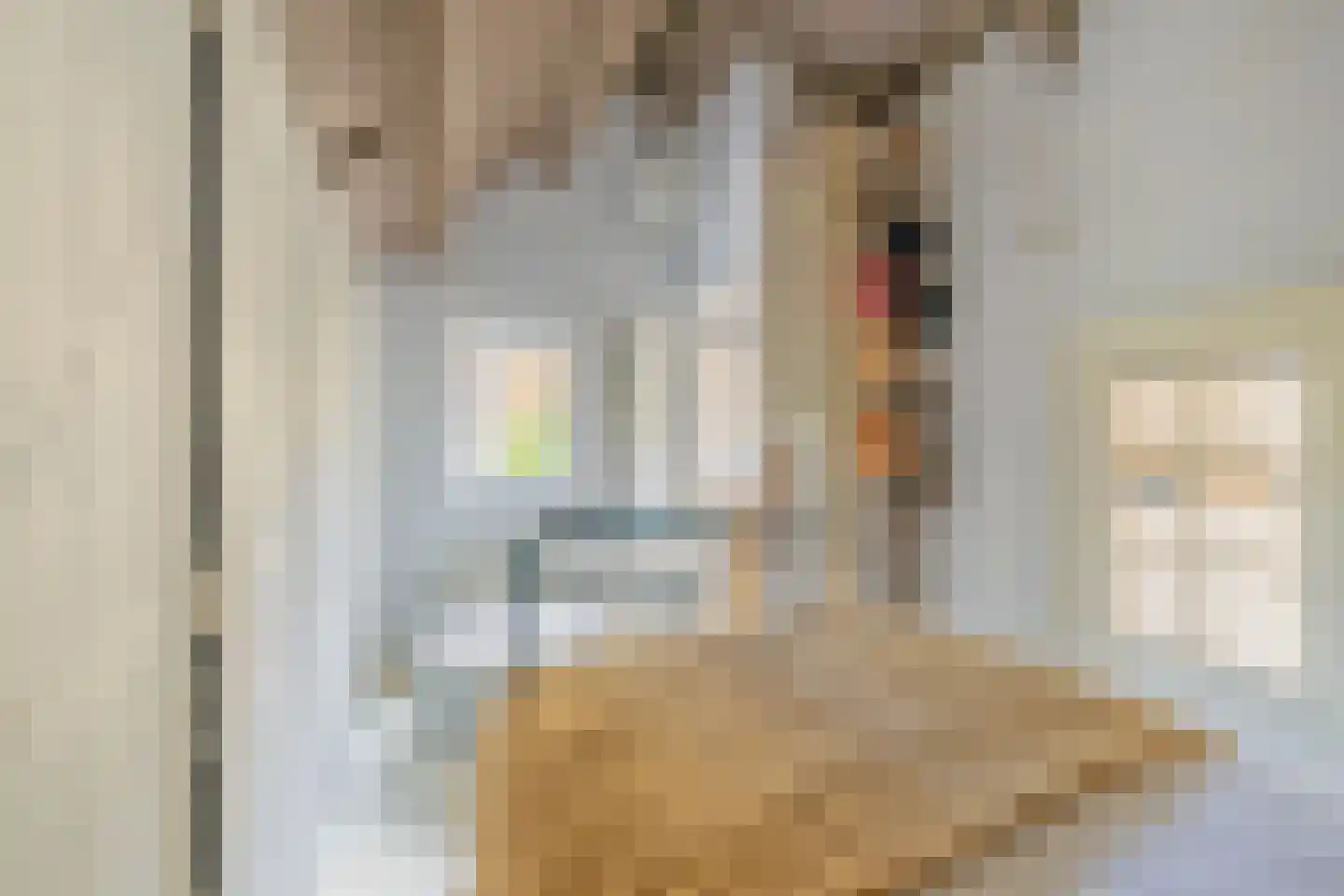Oude Wacht 2 Veere thumbnail 36