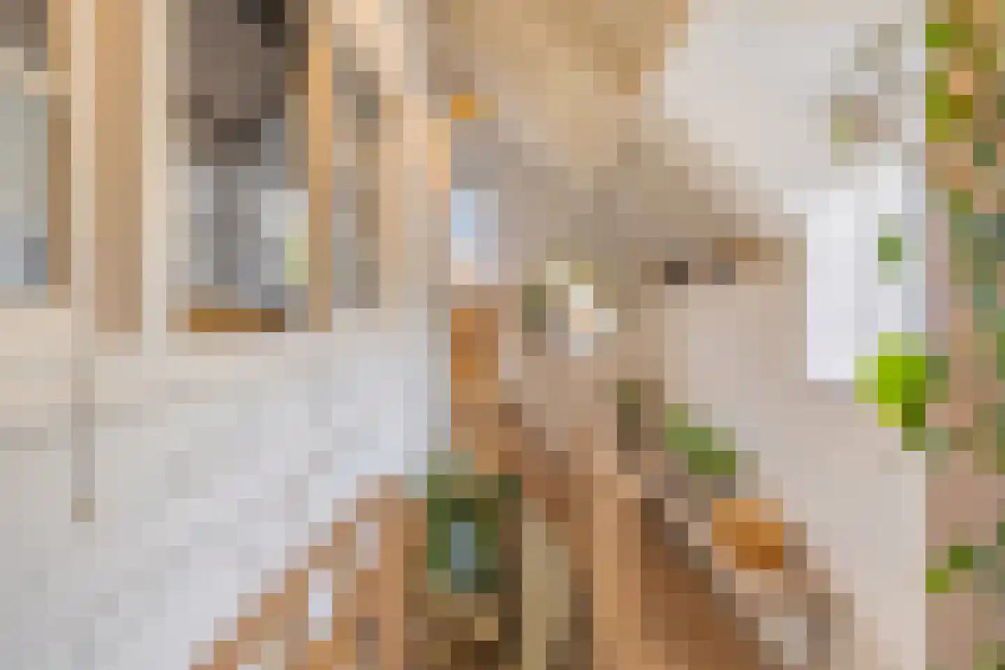 Oude Wacht 2 Veere thumbnail 37