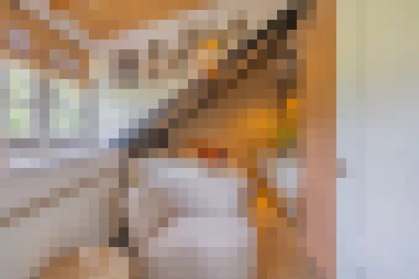 Oude Wacht 2 Veere thumbnail 39