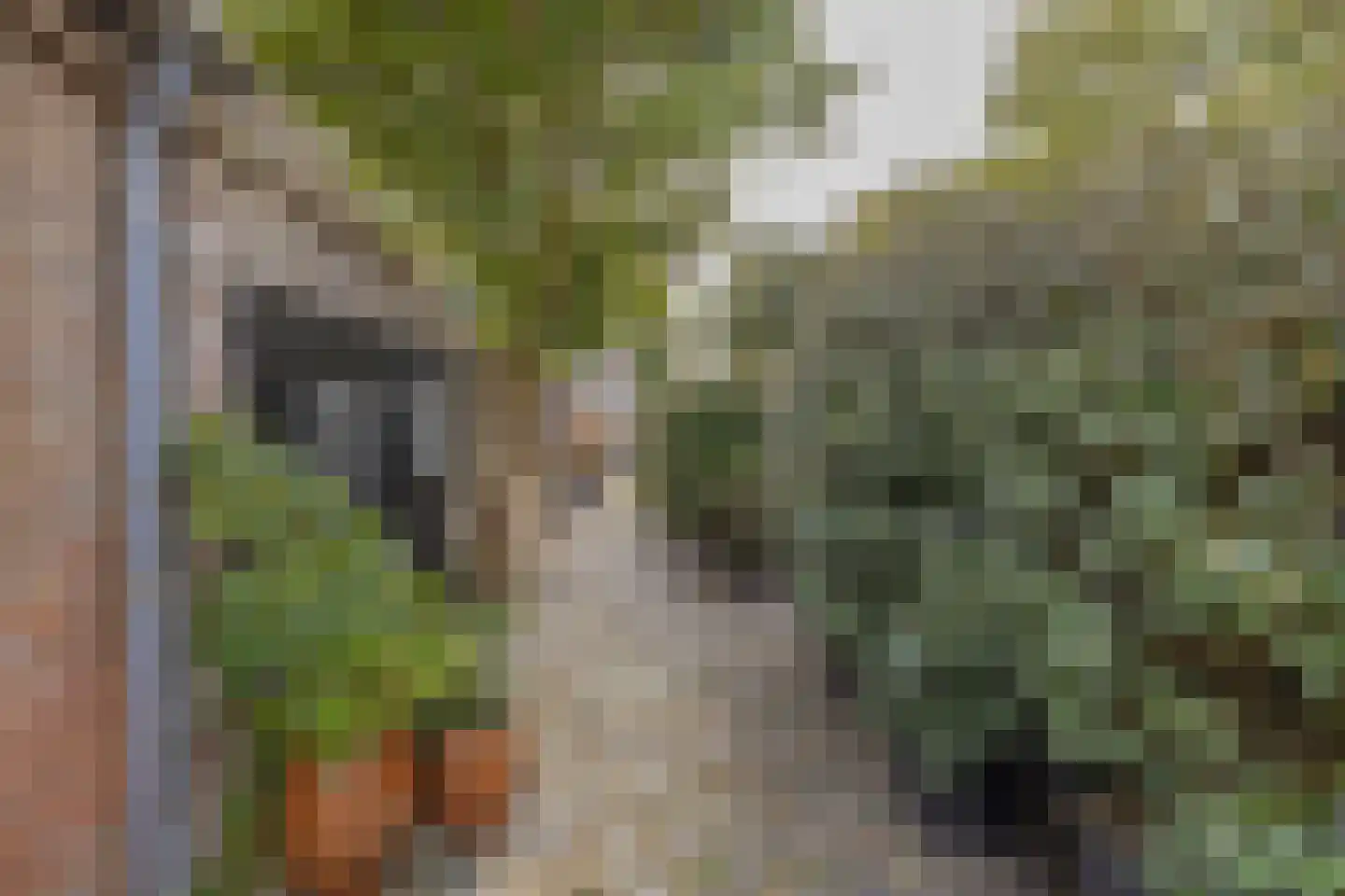 Oude Wacht 2 Veere thumbnail 4