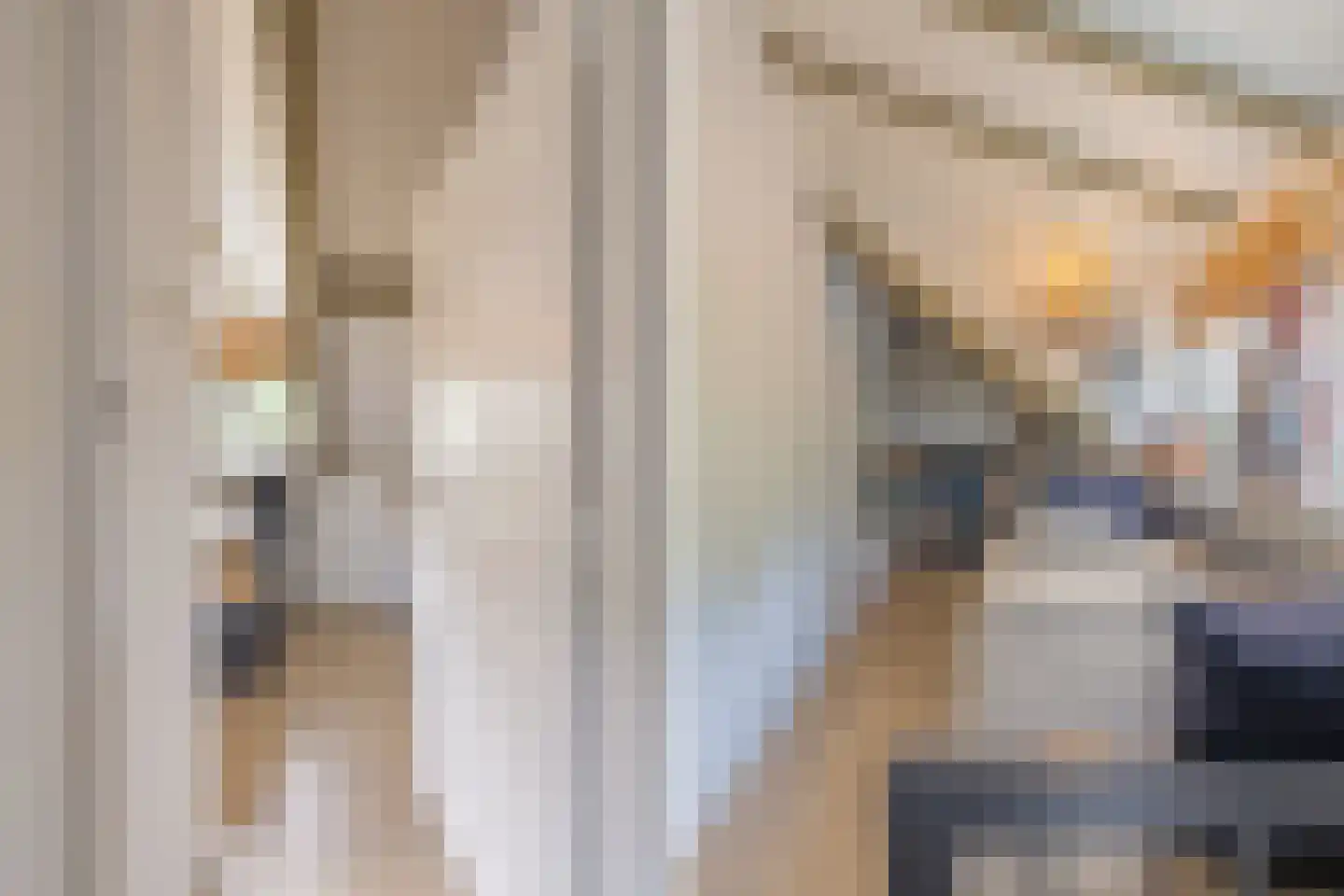 Oude Wacht 2 Veere thumbnail 41