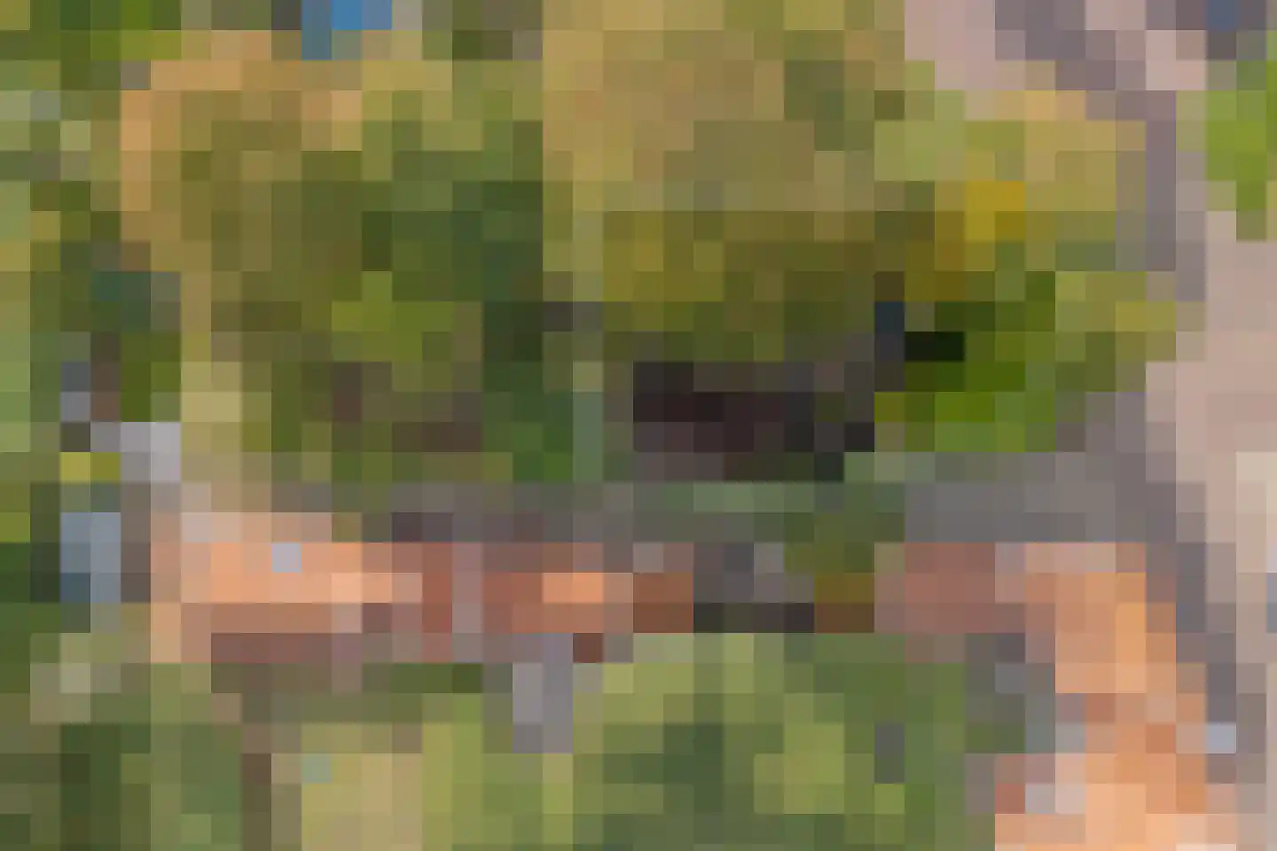 Oude Wacht 2 Veere thumbnail 47
