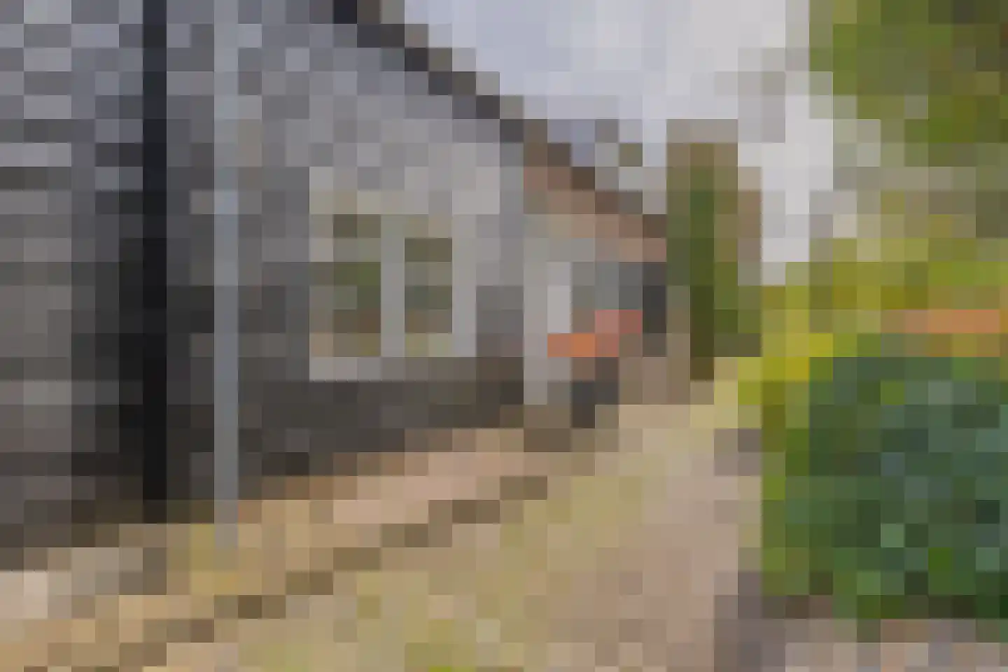 Oude Wacht 2 Veere thumbnail 5