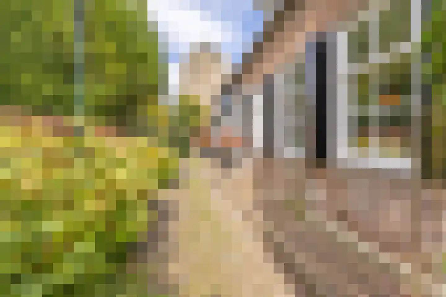 Oude Wacht 2 Veere thumbnail 6