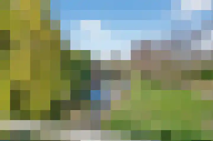 Oude Waelweg 64 Diemen thumbnail 44