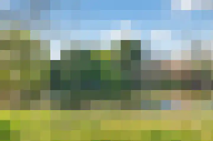 Oude Waelweg 64 Diemen thumbnail 46