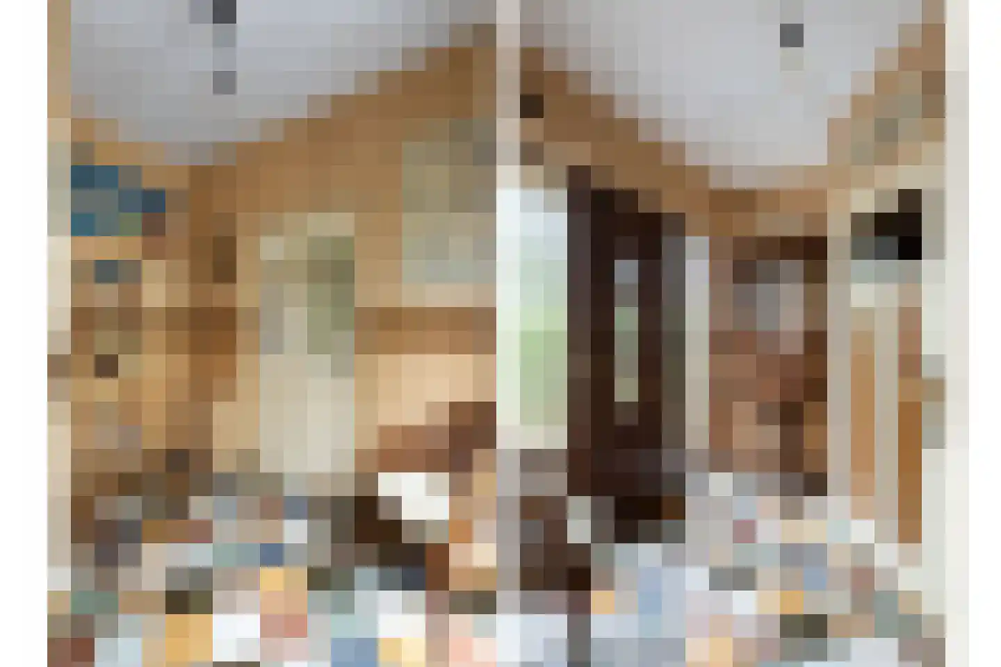 Oude Wal 14 Hoogvliet Rotterdam thumbnail 6