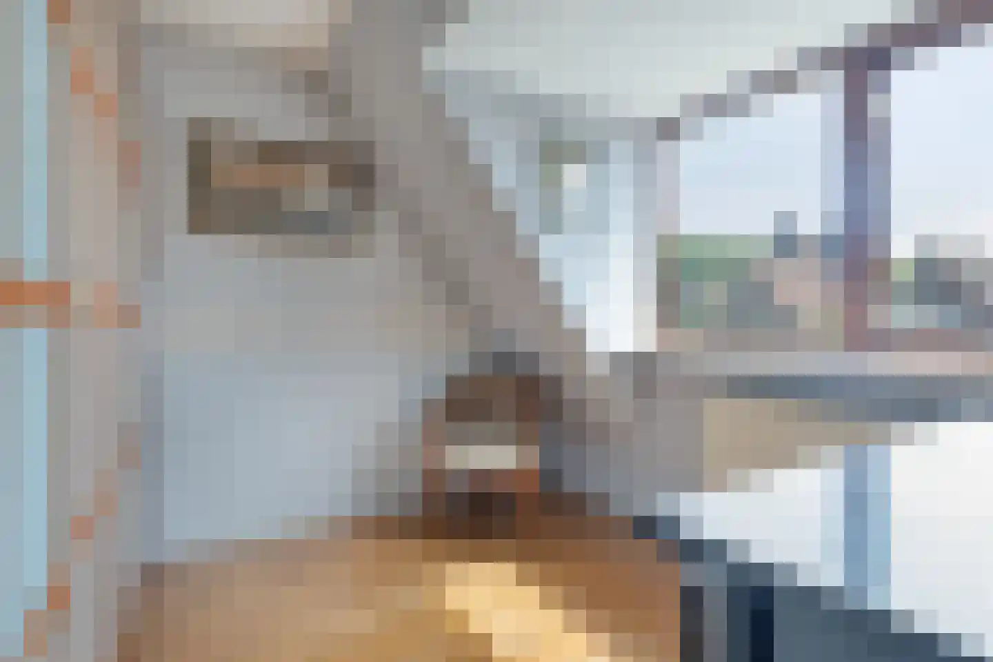 Oude Wal 14 Hoogvliet Rotterdam thumbnail 7